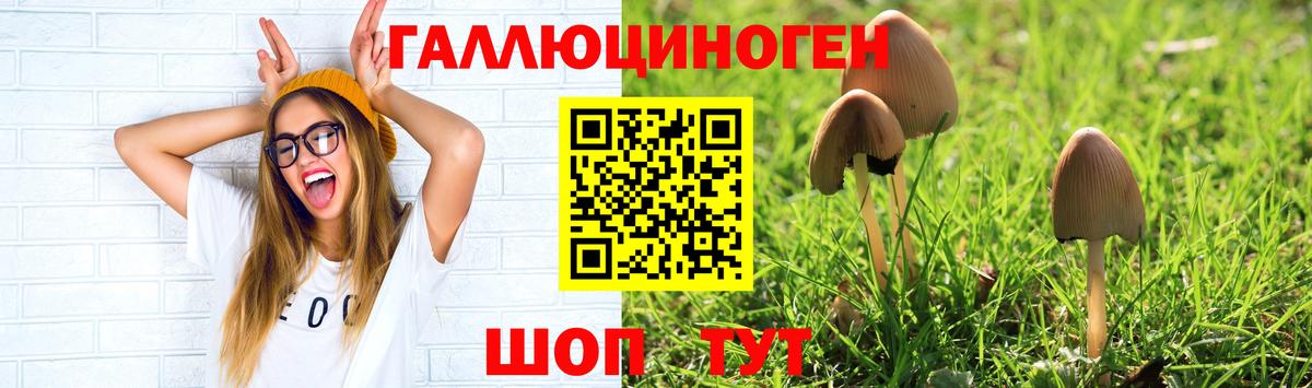 Галлюциногенные грибы мухоморы  Вход с VPN  что такое   Озёрск 