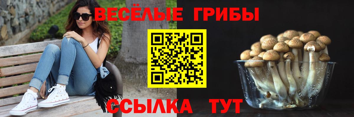 Галлюциногенные грибы Magic Shrooms Озёрск